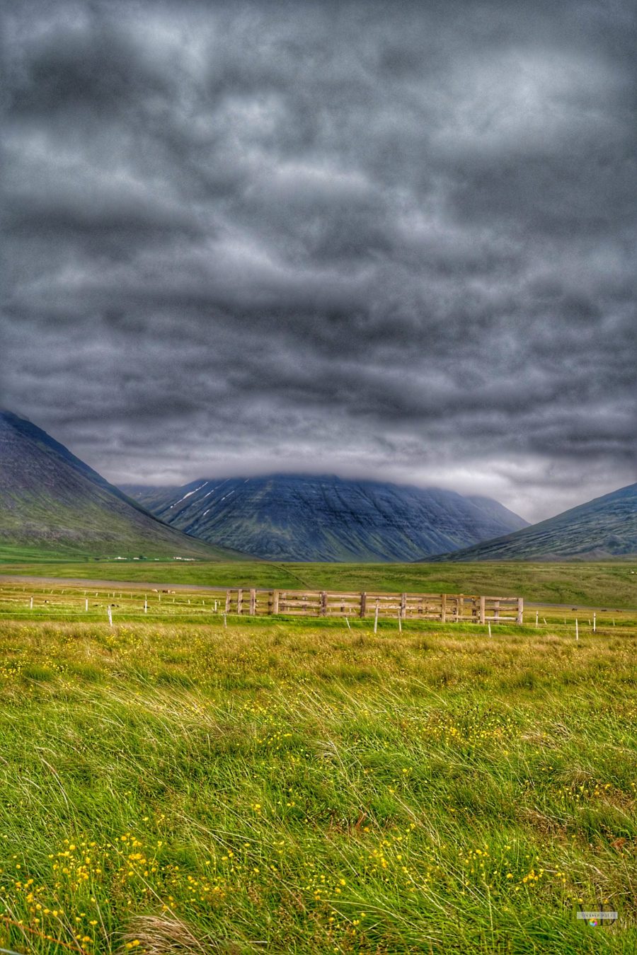 Vertical landscape photograph