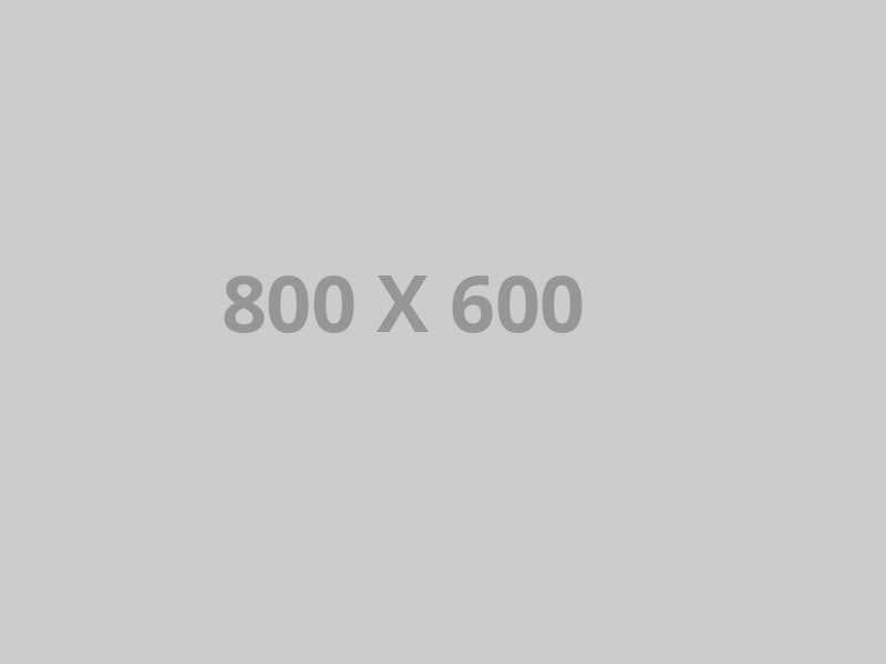 portfolio title 4
